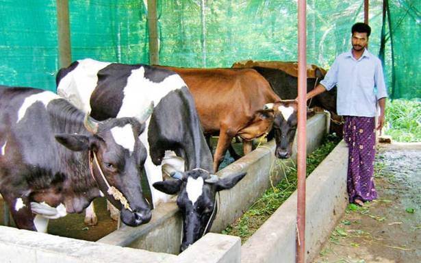 തുടങ്ങാം കമ്മ്യൂണിറ്റി ഡെയറി…